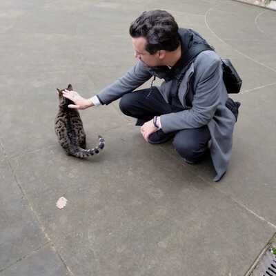 Alexio Rodrigues is at nor(DEV): con 2024