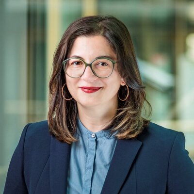 Lavinia Ionica, Hochschulforum Digitalisierung