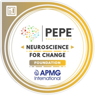 Neuroscience for Change Foundation