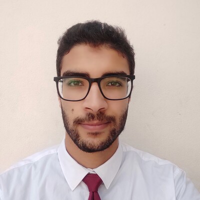 Hassan Farsi