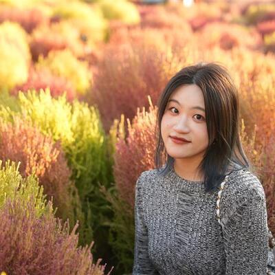 Shuaijun Ye
