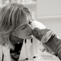 Colleen Fisher