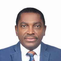 Olusegun H. Olugbile