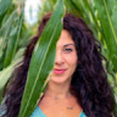 Karin Wolok
