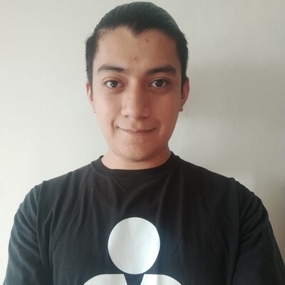 Javier Ramón Negrete González's Profile Picture
