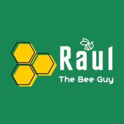 Raul The Bees Guy