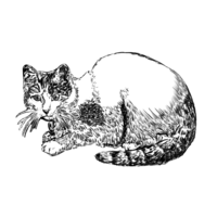 konekotech
